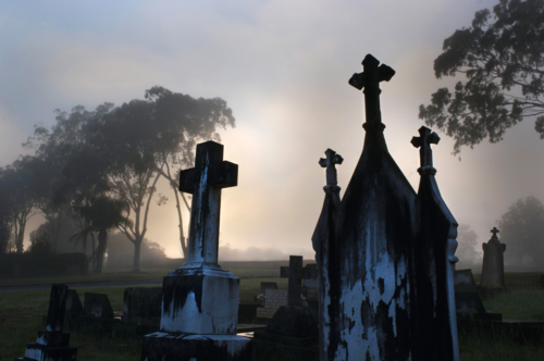 graveyard headstone crosses at dawn with fog and gumtrees setting sad scene - Australian Stock Image