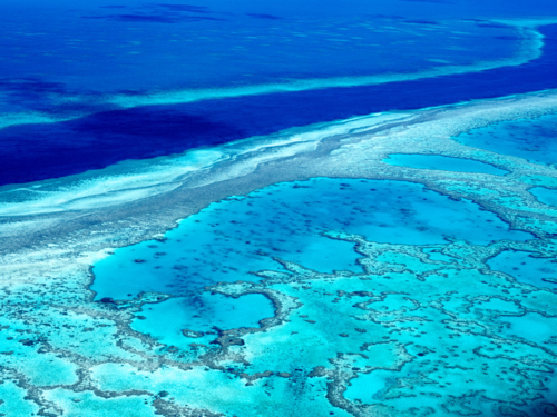 Great Barrier Reef - Australian Stock Image