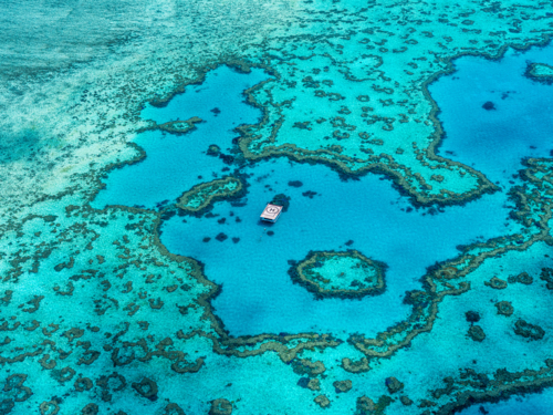 Great Barrier Reef - Australian Stock Image