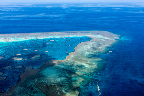 Great Barrier Reef - Australian Stock Image