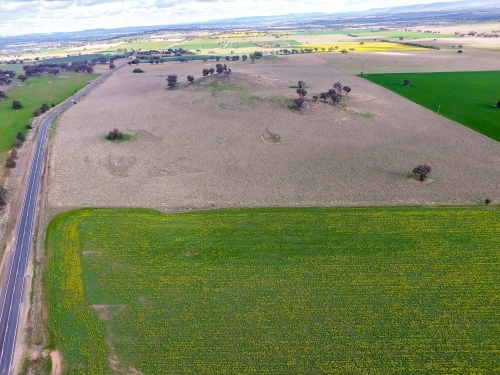 Green and brown crop fields - Australian Stock Image