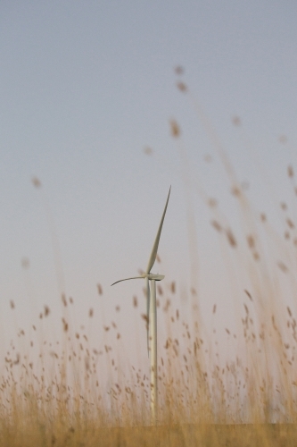 Green energy wind turbine in the countryside at dusk - Australian Stock Image