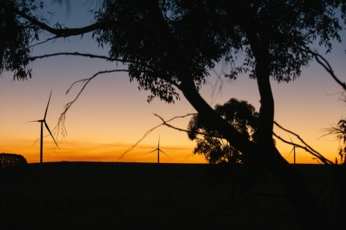 Green energy wind turbine silhouette in the countryside at dusk
