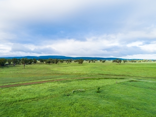 Green farm paddock landscape on overcast day