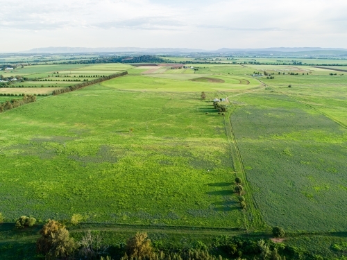 Green farm paddocks of Long Point growing after rain - Australian Stock Image