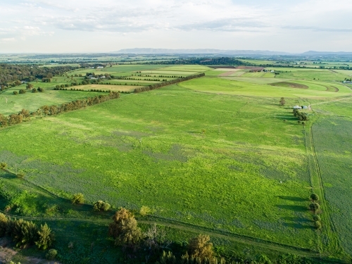 Green farm paddocks of Long Point growing after rain - Australian Stock Image