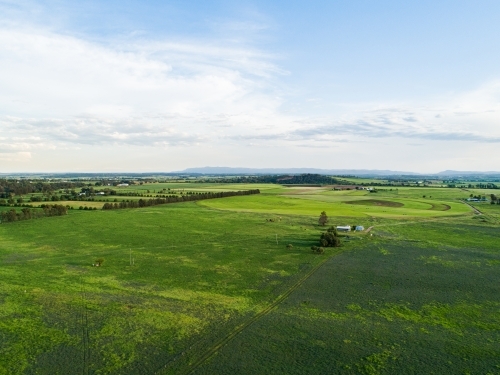 Green farm paddocks of Long Point growing after rain - Australian Stock Image