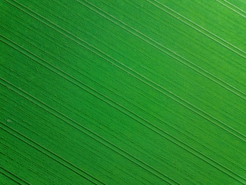 Green field with lines - Australian Stock Image