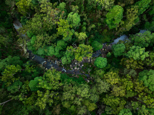 green forest and creek from above - Australian Stock Image