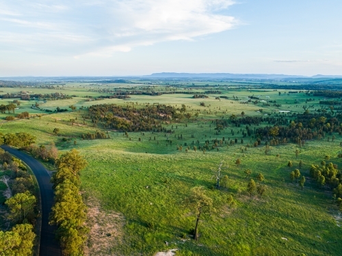 Green gum trees lining rural country road in afternoon light with farm paddock beside - Australian Stock Image