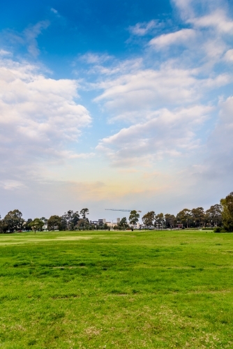 Green lawn and blue sky against city background. - Australian Stock Image
