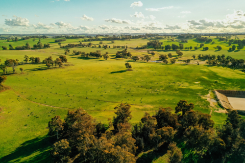 Green pastures on a farm - Australian Stock Image