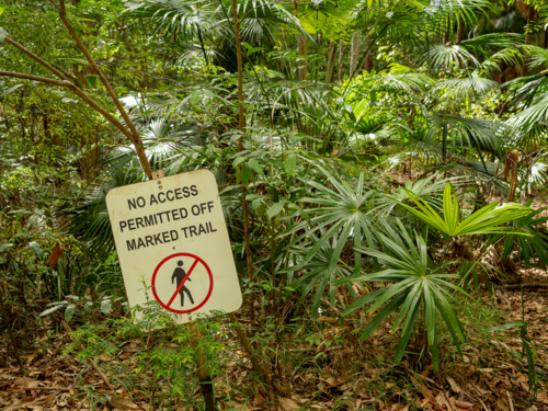 Green rainforest plants with no access sign - Australian Stock Image