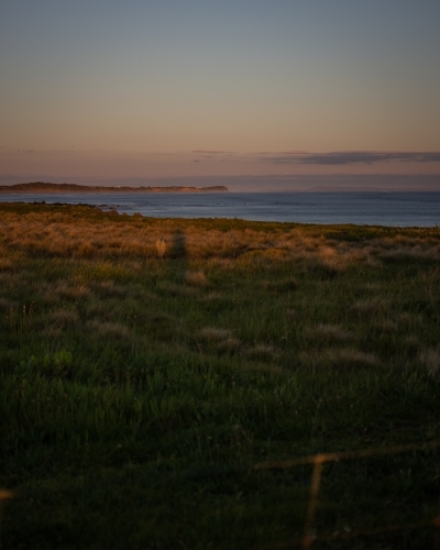 Green Seaside Field at Sunset - Australian Stock Image