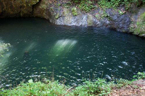 Green swimming hole