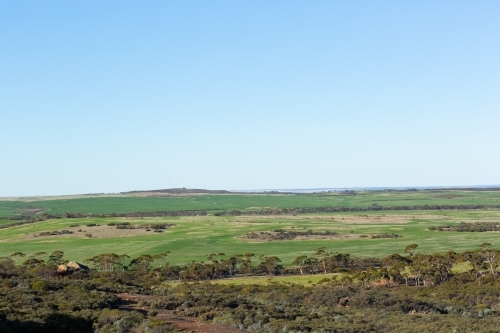 green wheatbelt landscape with blue sky and trees - Australian Stock Image
