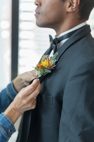Groom preparation - Australian Stock Image