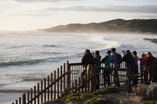 Group of people watching big swell at Margaret River - Australian Stock Image