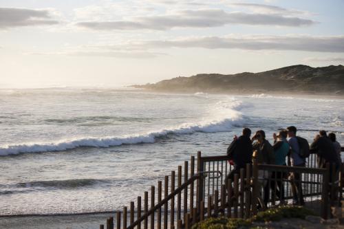 Group of people watching big swell at Margaret River - Australian Stock Image