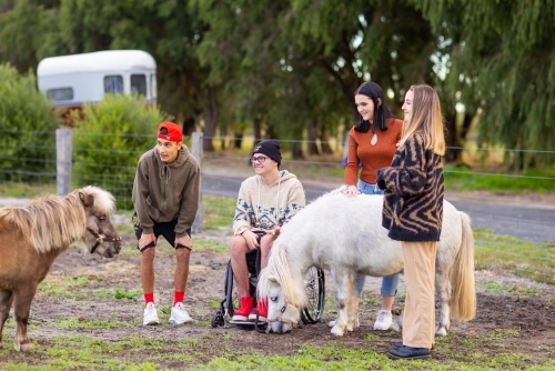 group of teenagers one in wheelchair on farm with ponies