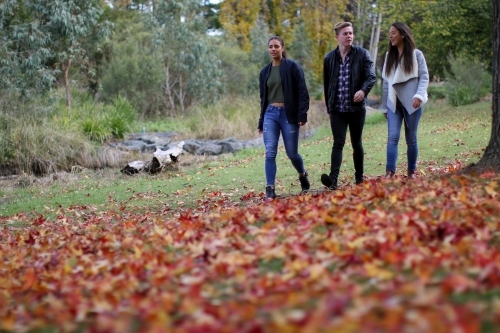 Group of three young friends walking through the park in autumn - Australian Stock Image