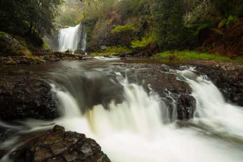 Guide Falls - Tasmania - Australian Stock Image