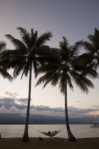 Hammock between two palm trees by the coast - Australian Stock Image
