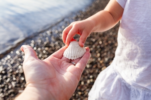 hand holding seashell found on shore of coastal lake with child touching shell - Australian Stock Image