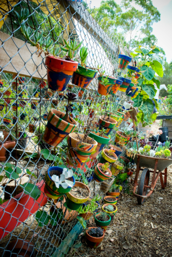 Hand painted flower pots hanging on a fence - vertical - Australian Stock Image