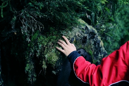 Hand touching moss on a rock face