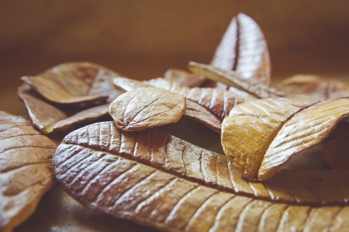 Handmade Paper Mache Autumn leaves - Australian Stock Image