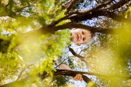 Happy country kid climbing up tree outside - Australian Stock Image