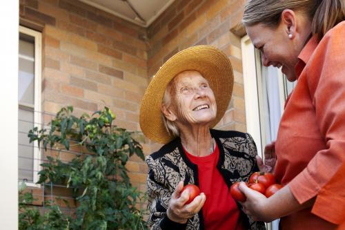 Happy elderly lady picking tomatos from the garden with carer at an aged care facility - Australian Stock Image