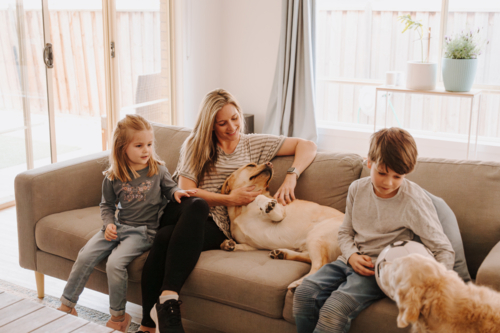 Happy family comfortably sitting on the couch with their dogs in the living room. - Australian Stock Image