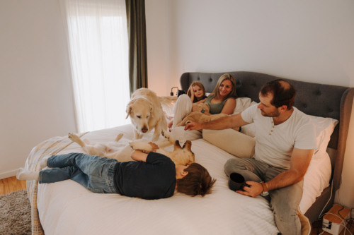 Happy family snuggling in a cosy bedroom with their dogs. - Australian Stock Image