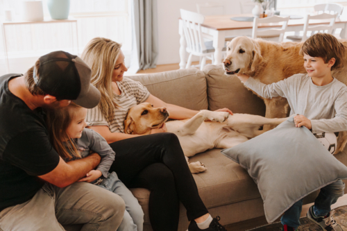Happy family with two kids and dogs together on lounge in loungeroom at home - Australian Stock Image