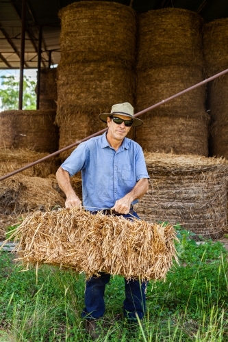 Happy farmer man picking up hey bale from storage shed - Australian Stock Image