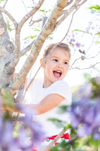 Happy little girl climbing jakarandah - Australian Stock Image