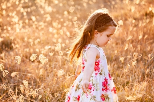 Happy little girl laughing and spinning in sunlit grass - Australian Stock Image