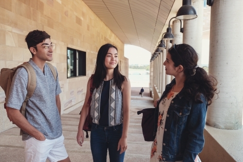 Happy multicultural students in library - Australian Stock Image