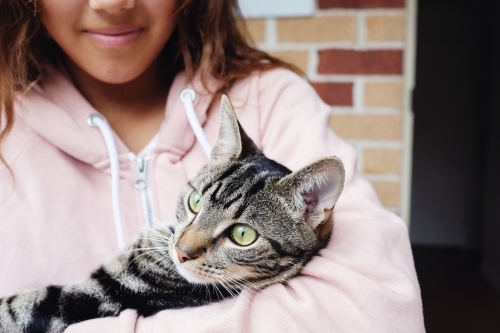 Happy multicultural teen holding cat - Australian Stock Image
