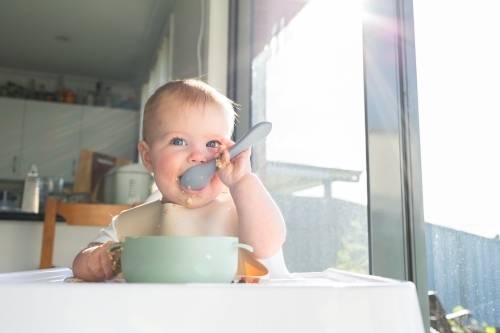 Happy seven month old baby eating breakfast in highchair in morning sunlight - Australian Stock Image