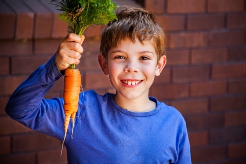 Happy young boy with huge home grown carrot from veggie garden - Australian Stock Image