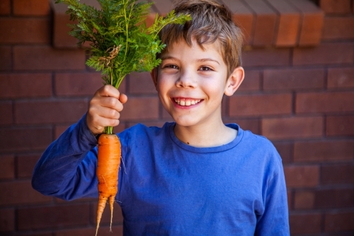 Happy young boy with huge home grown carrot from veggie garden - Australian Stock Image