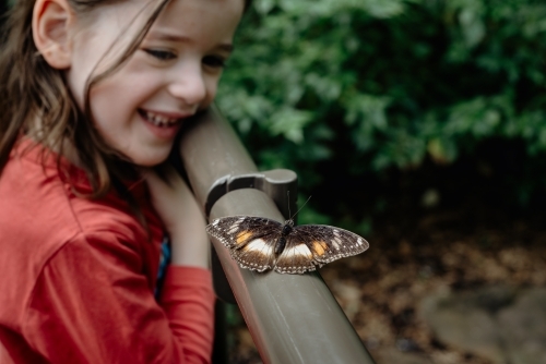 Happy young girl watching an Eggfly butterfly - Australian Stock Image