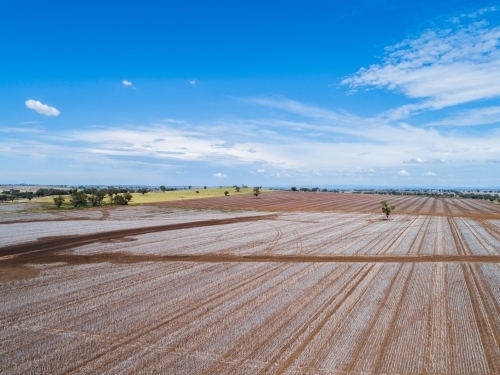 harvested farm paddocks on flat agricultural land - Australian Stock Image