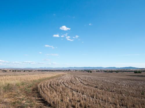 Harvested wheat field in a dry summer with blue sky - Australian Stock Image
