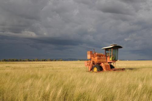 Harvester in a paddock before a storm - Australian Stock Image