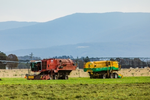 harvester in farm paddock with peas - Australian Stock Image
