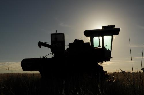 Harvester silhouetted against low light sky - Australian Stock Image